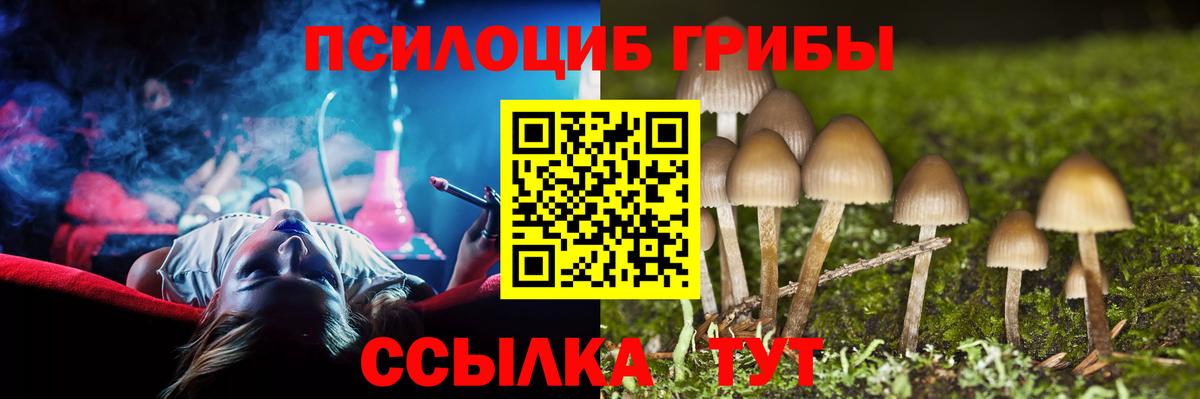Псилоцибиновые грибы мицелий  Вход с VPN  Рузаевка  Псилоцибиновые грибы Psilocybe 